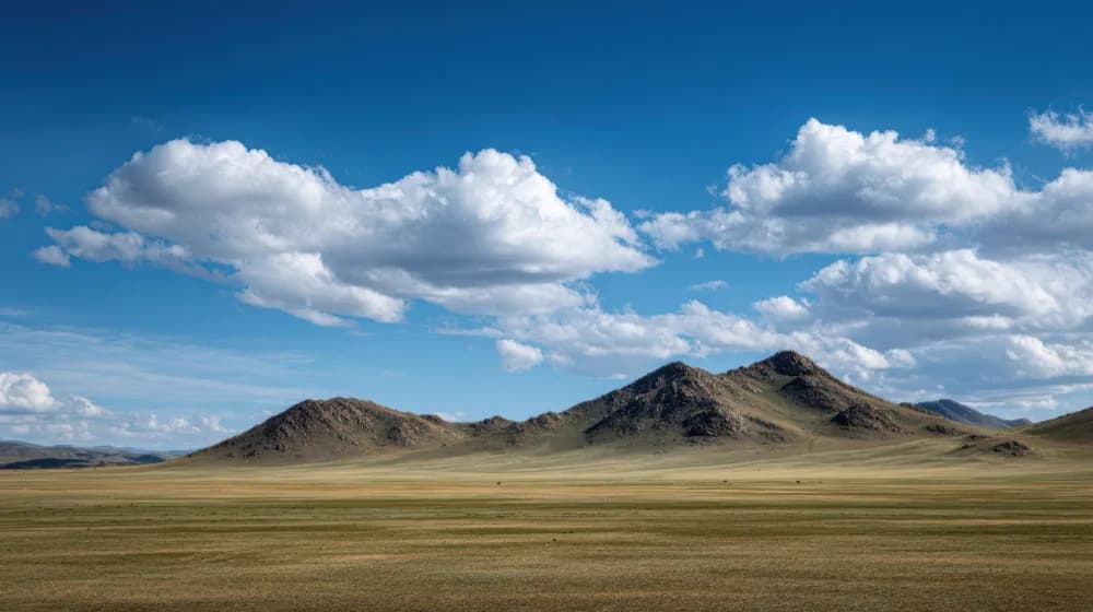 Beëdigd Mongools (Mongolië)-vertaler met acceptatiegarantie