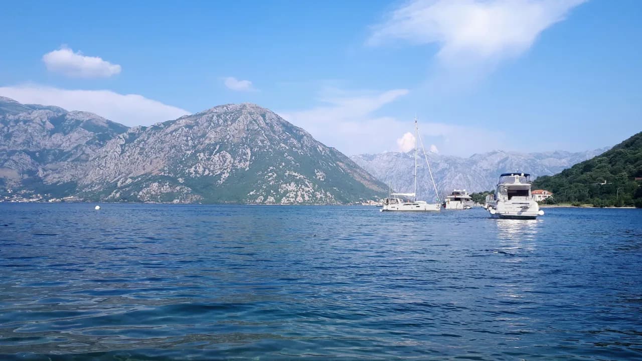 Beëdigd Montenegrijns-vertaler met acceptatiegarantie